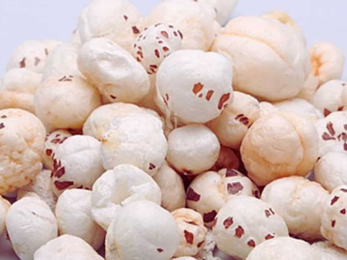 पीएम मोदी किसानों को देंगे बड़ी सौगात! बिहार में मखाना बोर्ड का करेंगे उद्घाटन, मिलेंगे ये फायदे