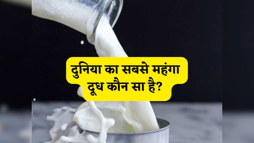 दुनिया का सबसे महंगा दूध कौन सा है? न गाय, न भेड़, न बकरी,लाखों का मुनाफा करवाने वाले इस मिल्क की जानें स्पेशिऐलिटी
