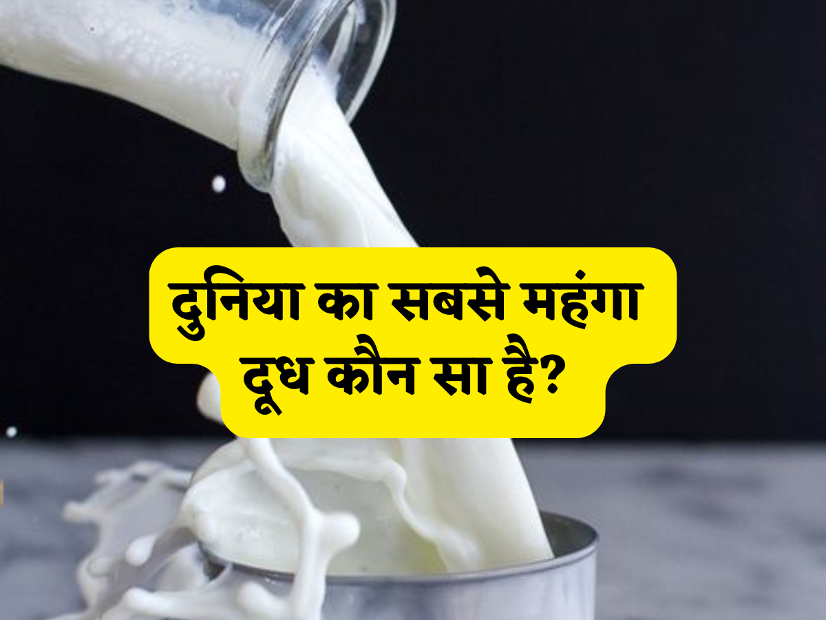 दुनिया का सबसे महंगा दूध कौन सा है? न गाय, न भेड़, न बकरी,लाखों का मुनाफा करवाने वाले इस मिल्क की जानें स्पेशिऐलिटी