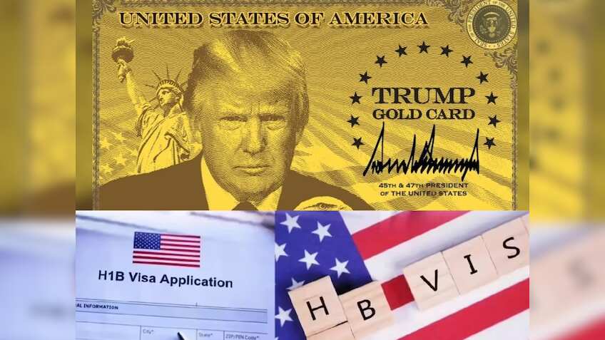 Trump गोल्ड कार्ड और H-1B वीजा में क्या है अंतर? किसे मिलेगा 'गोल्ड'और किसे करना होगा 'इंतजार'? जानें फायदे