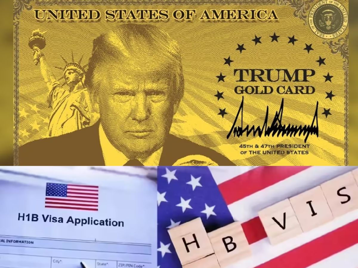 Trump गोल्ड कार्ड और H-1B वीजा में क्या है अंतर? किसे मिलेगा 'गोल्ड'और किसे करना होगा 'इंतजार'? जानें फायदे