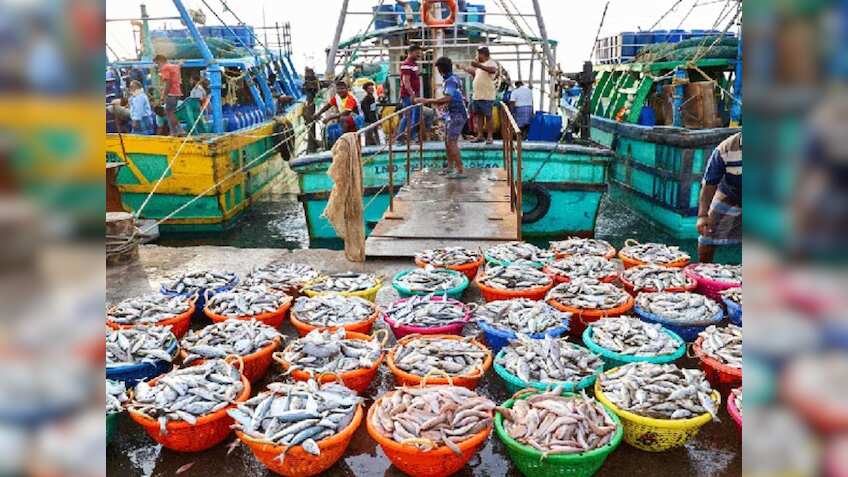 टूना मछली और समुद्री शैवाल के निर्यात को मिलेगा बढ़ावा, लक्षद्वीप में नवंबर में होगी इन्वेस्टर मीट
