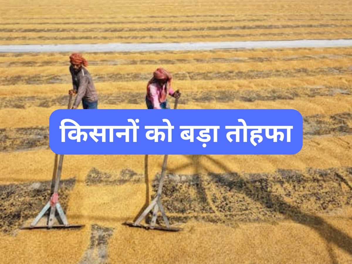 नवरात्रि के मौके पर किसानों को बड़ा तोहफा! हरियाणा सरकार ने सर्टिफाइड गेहूं बीज पर सब्सिडी बढ़ाई