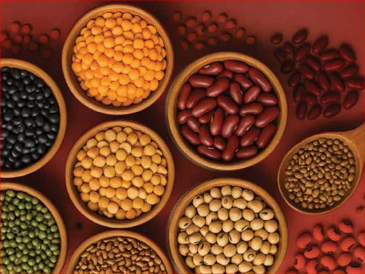 दलहन उत्पादन बढ़ाने का रोडमैप तैयार! खेती का बढ़ेगा रकबा, 100% MSP पर होगी दालों की खरीद