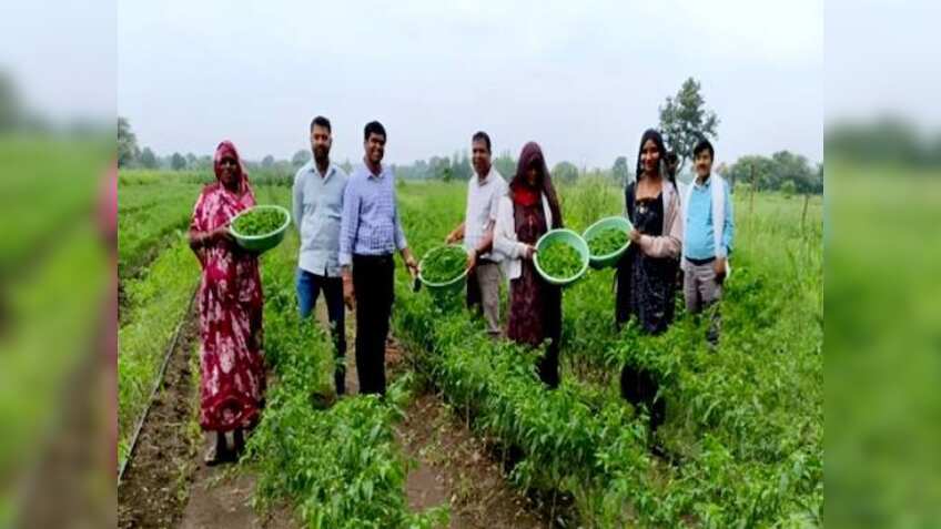 Watershed Mission: कलस्टर आधारित सब्जी उत्पादन से संवर रही किसानों की तकदीर, ₹50,000 तक हो रही कमाई