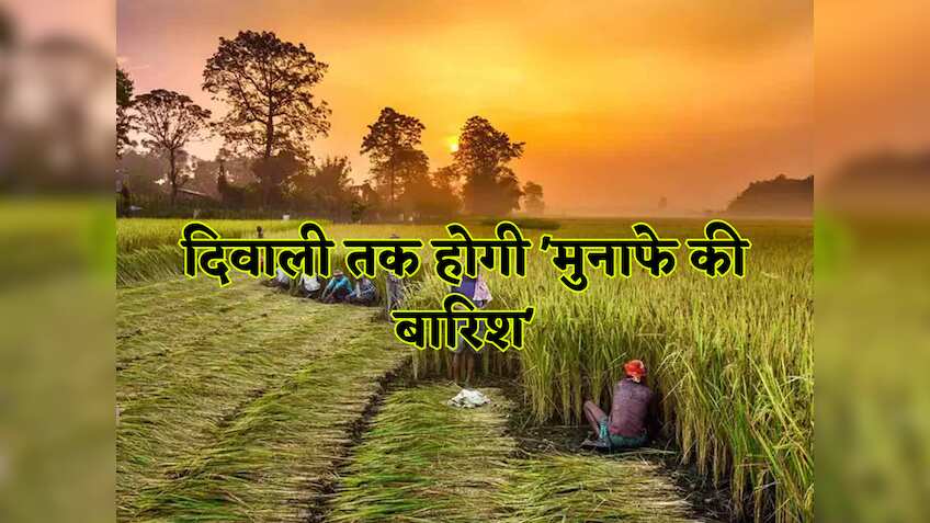  दिवाली के बाद होगी 'मुनाफे की बारिश', किसानों के लिए 'डबल कमाई' का मौका, अक्टूबर में बोएं ये 8 फसलें, दिसंबर तक कटाई कर पाएं बंपर मुनाफा! देखें लिस्ट