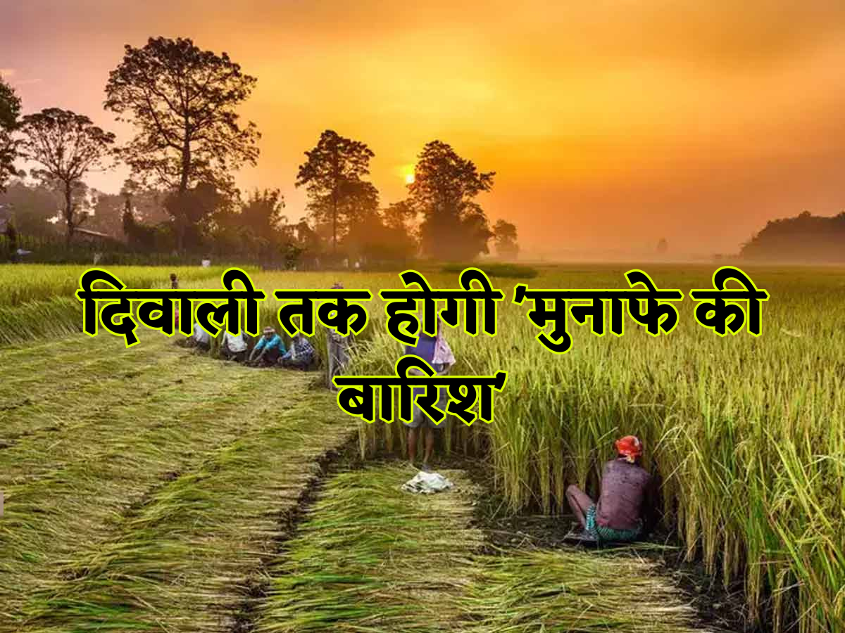 दिवाली के बाद होगी 'मुनाफे की बारिश', किसानों के लिए 'डबल कमाई' का मौका, अक्टूबर में बोएं ये 8 फसलें, दिसंबर तक कटाई कर पाएं बंपर मुनाफा! देखें लिस्ट