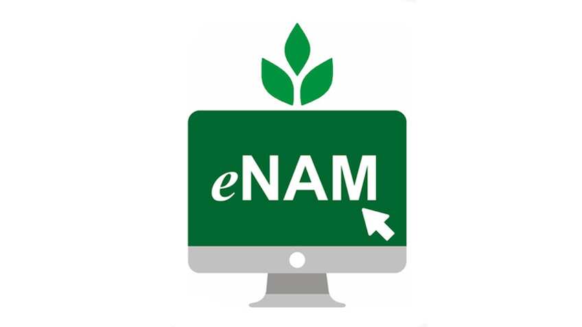 किसानों के लिए बड़ी खुशखबरी! सरकार ने e-NAM प्लेटफॉर्म पर जोड़ीं 9 नई फसलें, अब 247 फसलों की होगी ट्रेडिंग