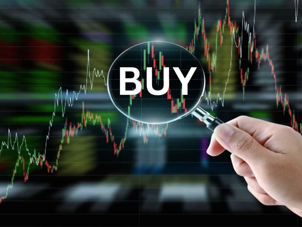 Black Buck Share Price Target