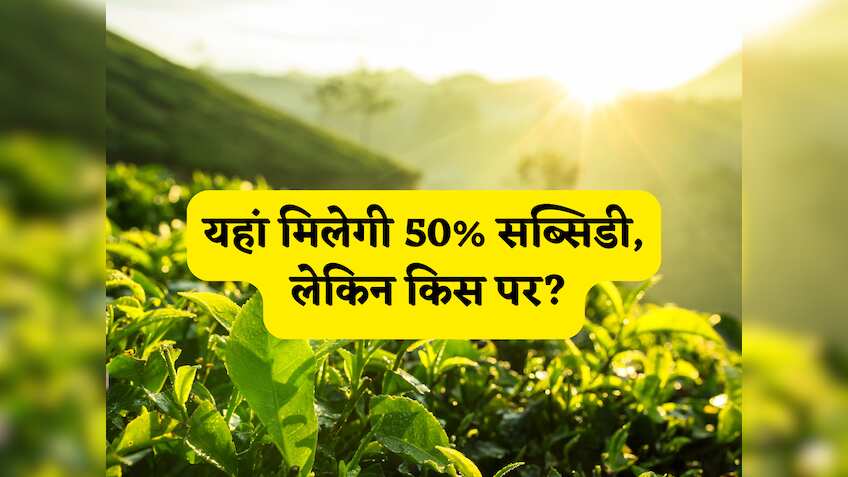 बिहार बनेगा 'चाय का हब'! सरकार की 'सुनहरी' योजना में पाएं 50% सब्सिडी, ₹75,000 के शेड पर सीधा ₹37,500 की छूट! 