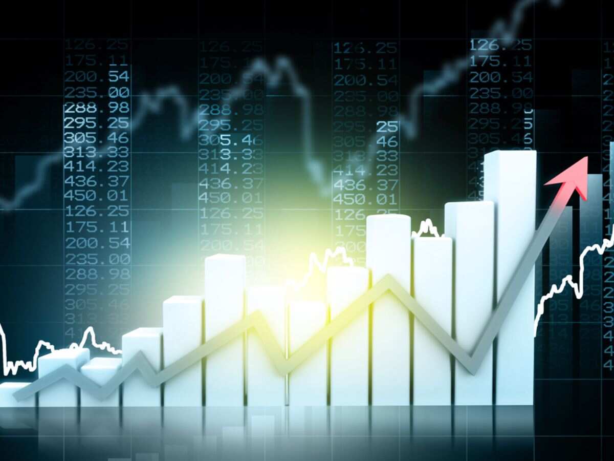 India Nippon Electricals Share Price Target