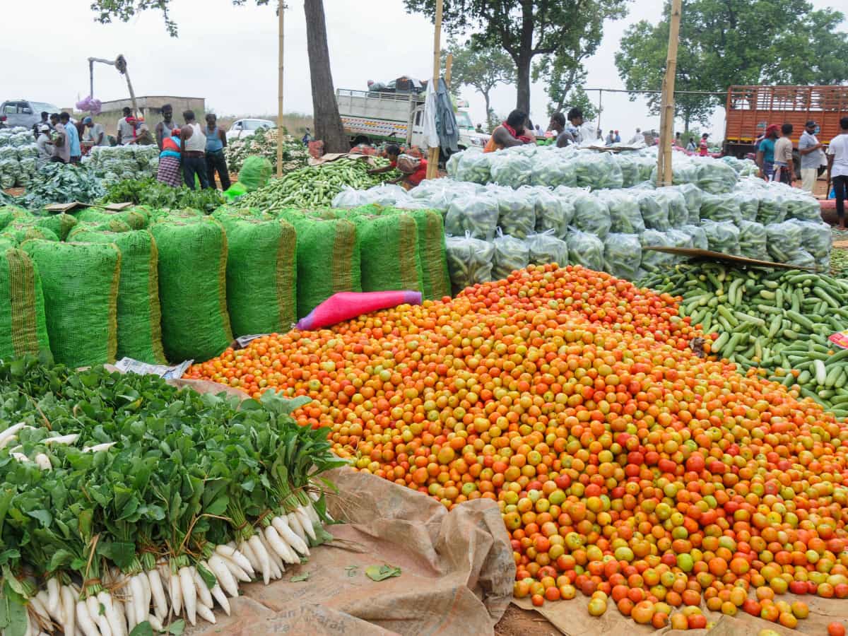 WPI Inflation: दिवाली से पहले आम आदमी को बड़ी राहत! सितंबर में थोक महंगाई गिरकर 0.13% पहुंची