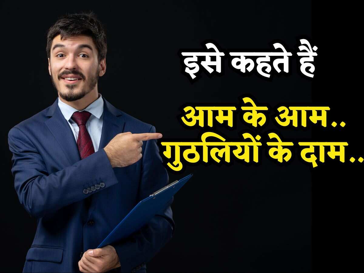 इसे कहते हैं 'आम के आम गुठलियों के दाम', FD पर तगड़ा ब्याज तो मिलेगा ही Tax भी बचेगा! देखें 24 बैंकों की लिस्ट
