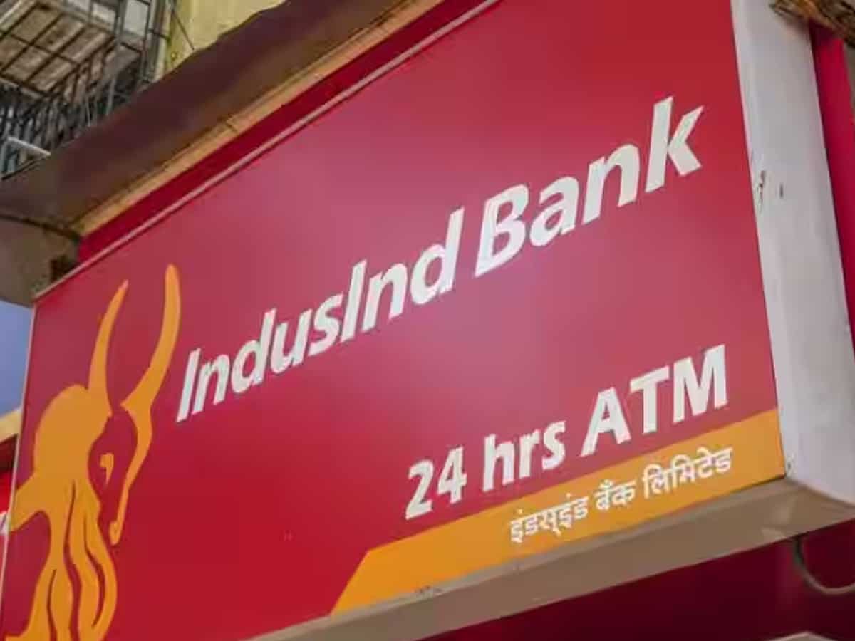 13- IndusInd Bank
