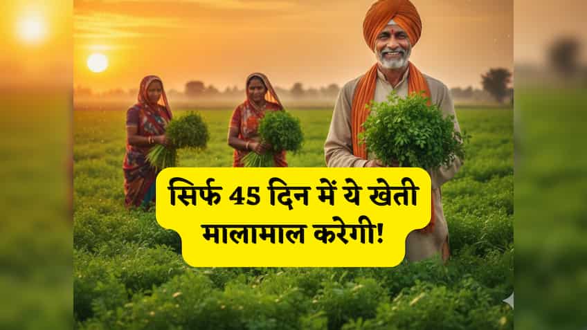 किसानों के लिए ATM है ये खेती! सिर्फ 45 दिन में इस एक फसल से बरसेगा बंपर मुनाफा, जानें बुवाई से कटाई तक का पूरा सफर