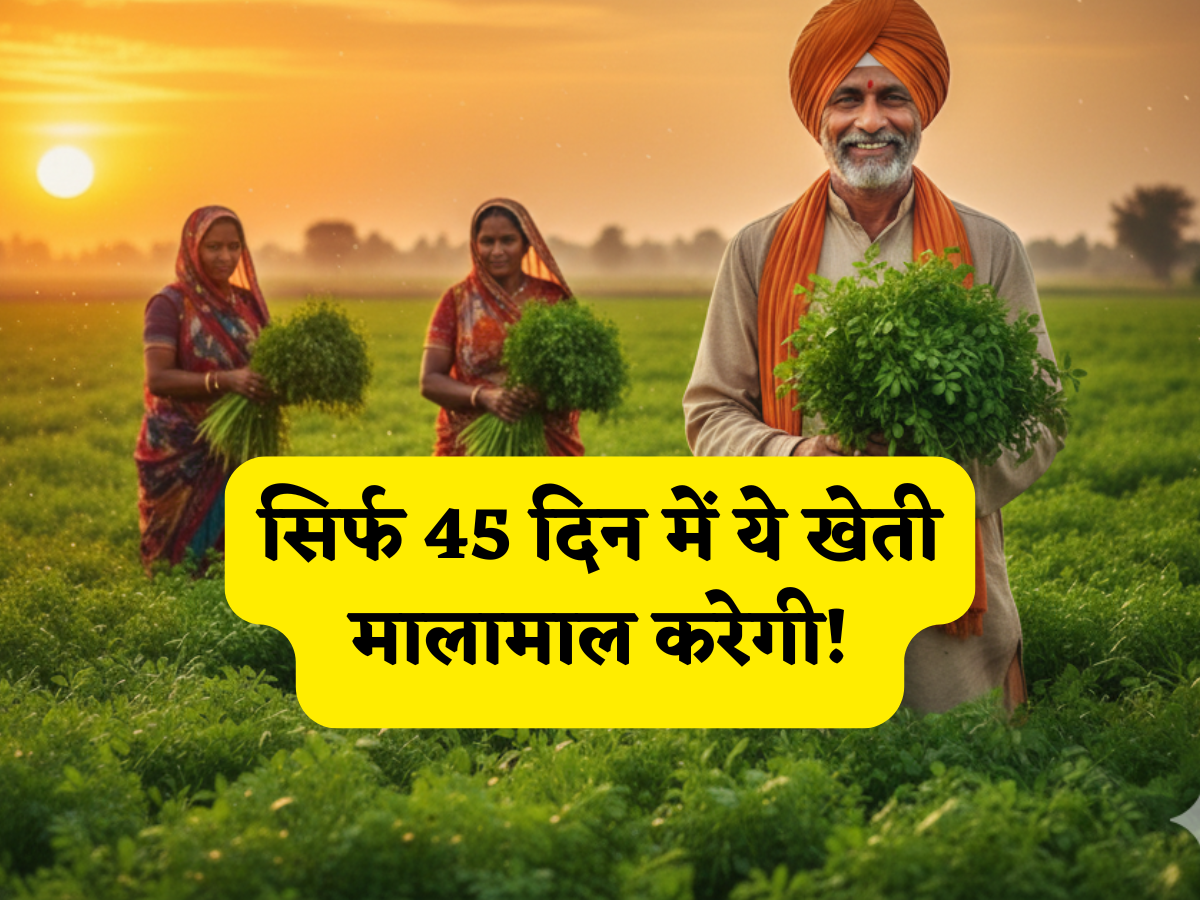 किसानों के लिए ATM है ये खेती! सिर्फ 45 दिन में इस एक फसल से बरसेगा बंपर मुनाफा, जानें बुवाई से कटाई तक का पूरा सफर