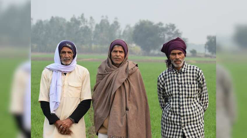 किसान भाइयों के लिए खुशखबरी! गेहूं, सरसों सहित रबी फसलों के बीज पर मिल रहा 50% अनुदान