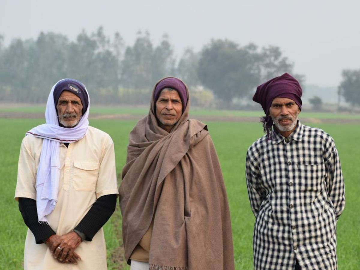 किसान भाइयों के लिए खुशखबरी! गेहूं, सरसों सहित रबी फसलों के बीज पर मिल रहा 50% अनुदान