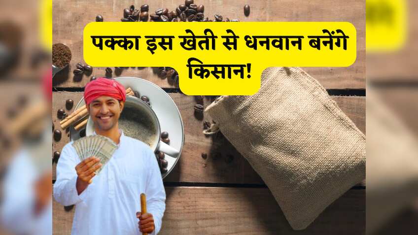 कोरापुट कॉफी से मालामाल बनेंगे किसान! क्या है ये और कैसे इसकी खेती से होगी बंपर कमाई? समझें कमाई का फुल कैलकुलेशन