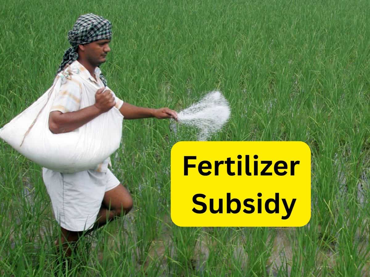 Fertilizer Subsidy: किसानों को सस्ती खाद की गारंटी! कैबिनेट ने रबी सीजन के लिए फर्टिलाइजर सब्सिडी को मंजूरी दी