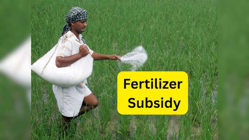 Fertilizer Subsidy: किसानों को सस्ती खाद की गारंटी! कैबिनेट ने रबी सीजन के लिए फर्टिलाइजर सब्सिडी को मंजूरी दी