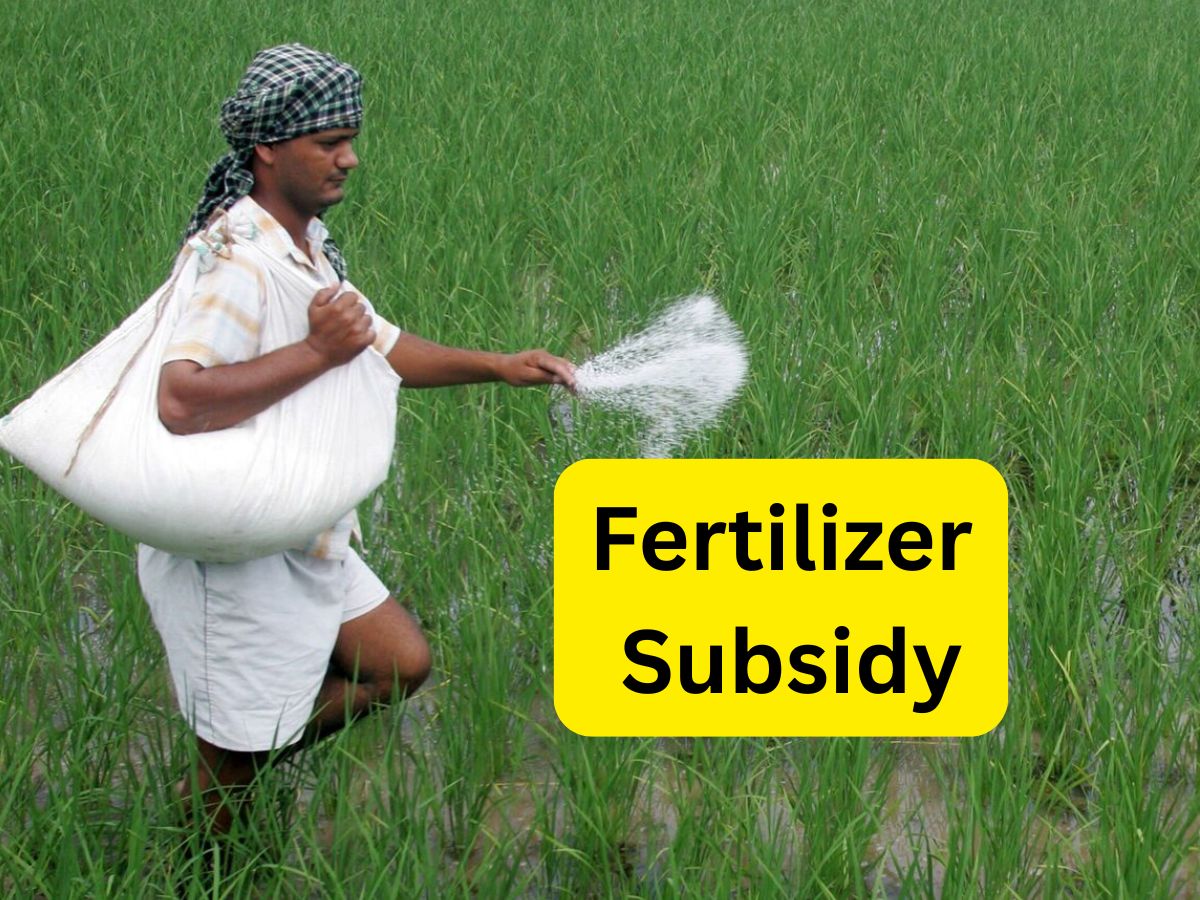 Fertilizer Subsidy: किसानों को सस्ती खाद की गारंटी! कैबिनेट ने रबी सीजन के लिए फर्टिलाइजर सब्सिडी को मंजूरी दी