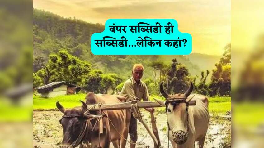 बंपर सब्सिडी का ऐलान! अब टमाटर से लेकर लौकी तक उगाने पर सरकार देगी 90% तक छूट, इन किसानों की होगी चांदी ही चांदी!