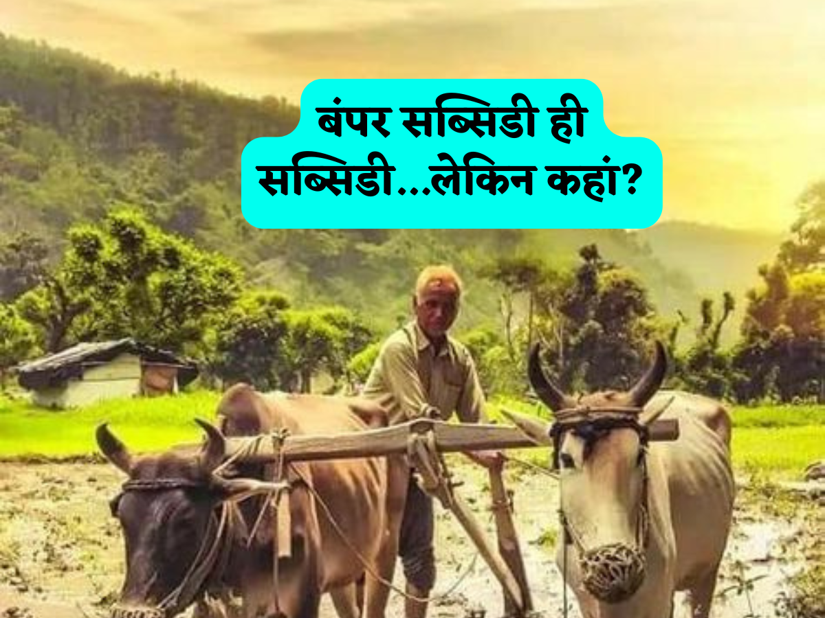 बंपर सब्सिडी का ऐलान! अब टमाटर से लेकर लौकी तक उगाने पर सरकार देगी 90% तक छूट, इन किसानों की होगी चांदी ही चांदी!