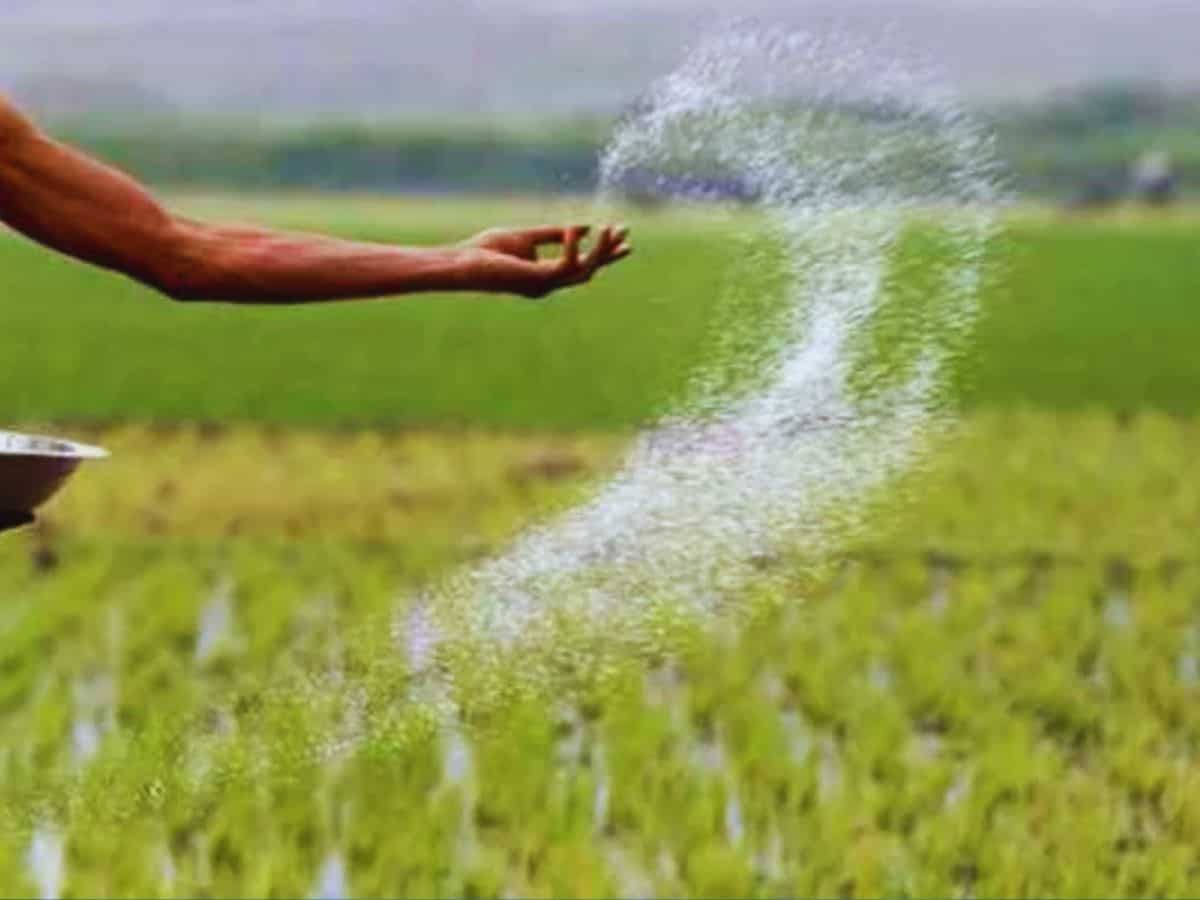 अप्रैल-अक्टूबर में यूरिया आयात दोगुना, सरकार ने कहा- किसानों को नहीं होगी कमी