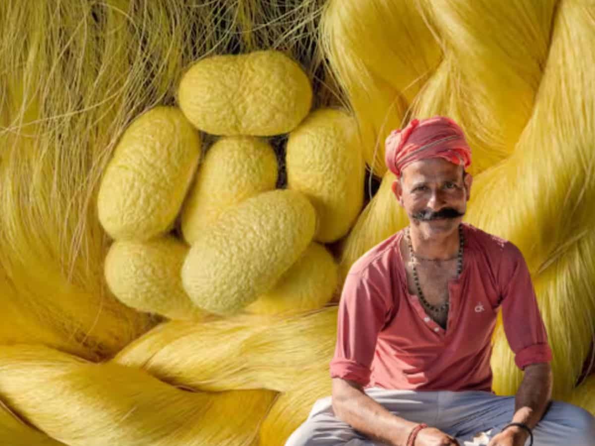 ‘रेशम समृद्धि योजना’ से बदलेंगे किसानों के दिन! कीट पालन पर मिलेगी 90% तक सब्सिडी