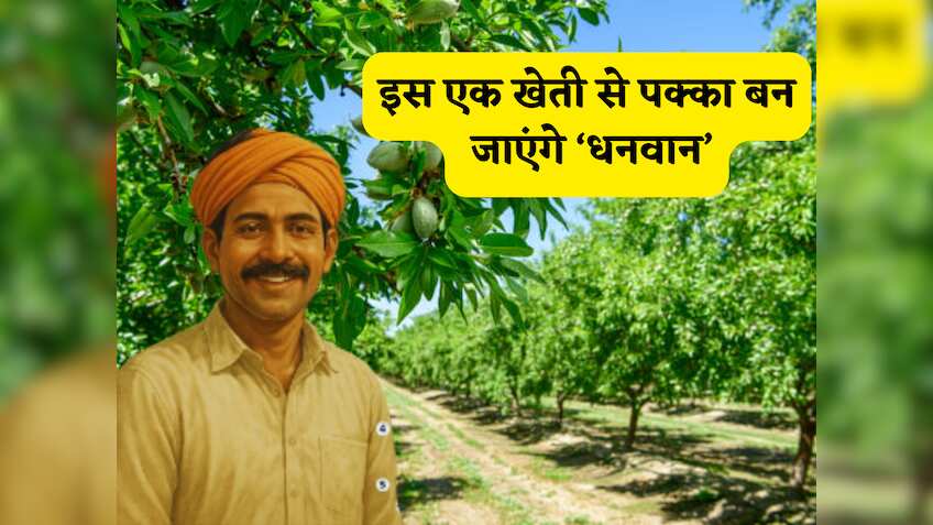 मुनाफे की पक्की मशीन है ये खेती: एक बार उगा ली फसल तो धनवान होने से कोई नहीं रोक पाएगा, समझें कमाई का कैलकुलेशन!