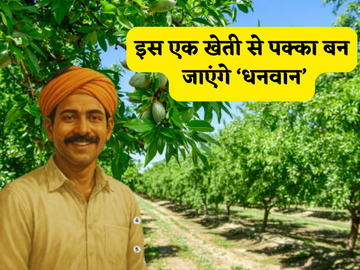 मुनाफे की पक्की मशीन है ये खेती: एक बार उगा ली फसल तो धनवान होने से कोई नहीं रोक पाएगा, समझें कमाई का कैलकुलेशन!