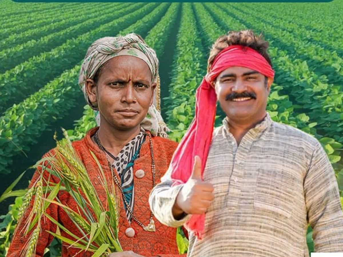 DAP से बेहतर है NPK! जानिए क्यों जरूरी है संतुलित उर्वरक का उपयोग