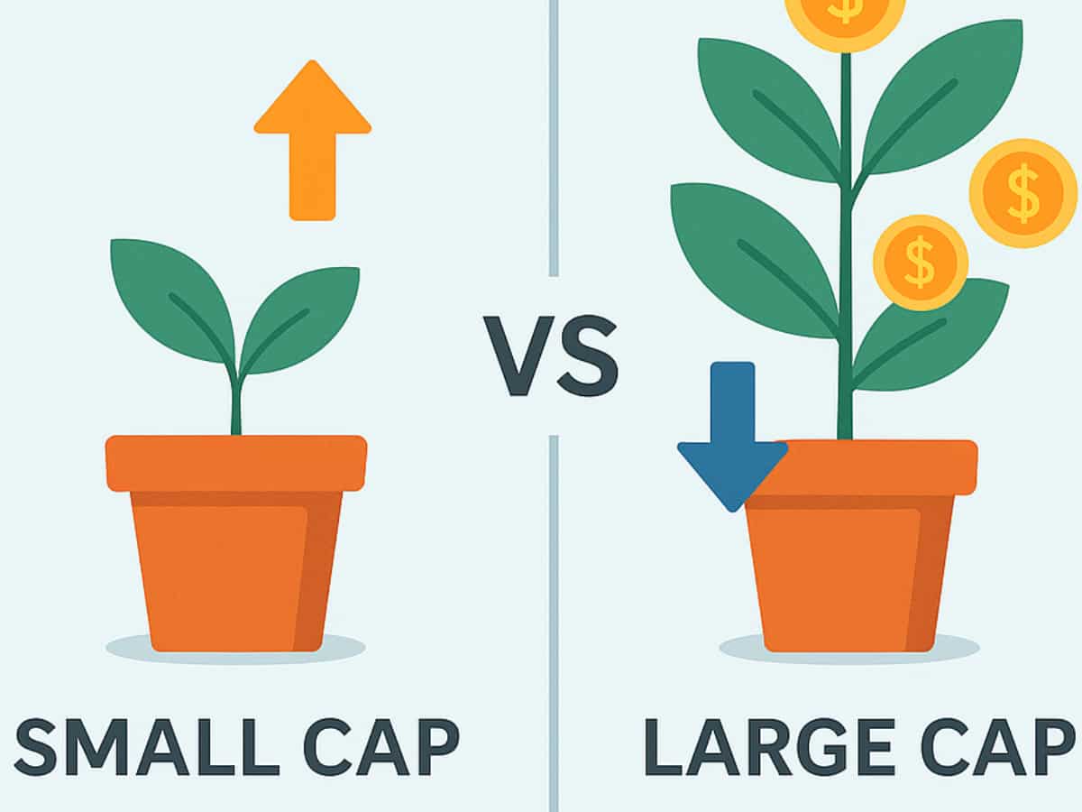 स्मॉल कैप Vs लार्ज कैप म्यूचुअल फंड: कौन है असली किंग? निवेश से पहले समझें कौन देगा छप्परफाड़ रिटर्न और किसमें छिपा है बड़ा रिस्क!