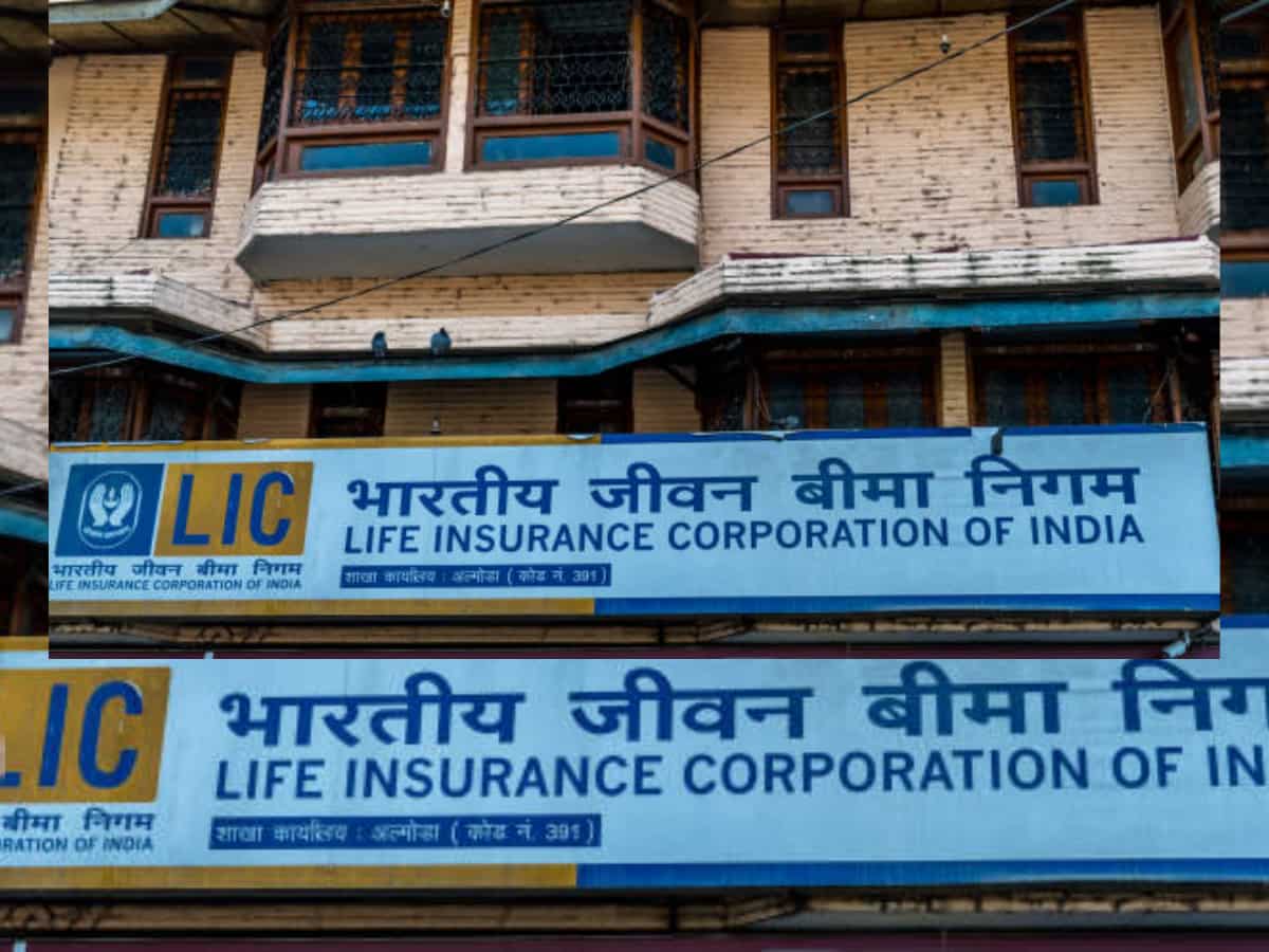 LIC की 'सखी' पॉलिसी के आगे FD-RD भी है अब फेल! पैसा करें इन्वेस्ट और फ्यूचर में पाएं बंपर रिटर्न, टेंशन को कहेंगे Good Bye