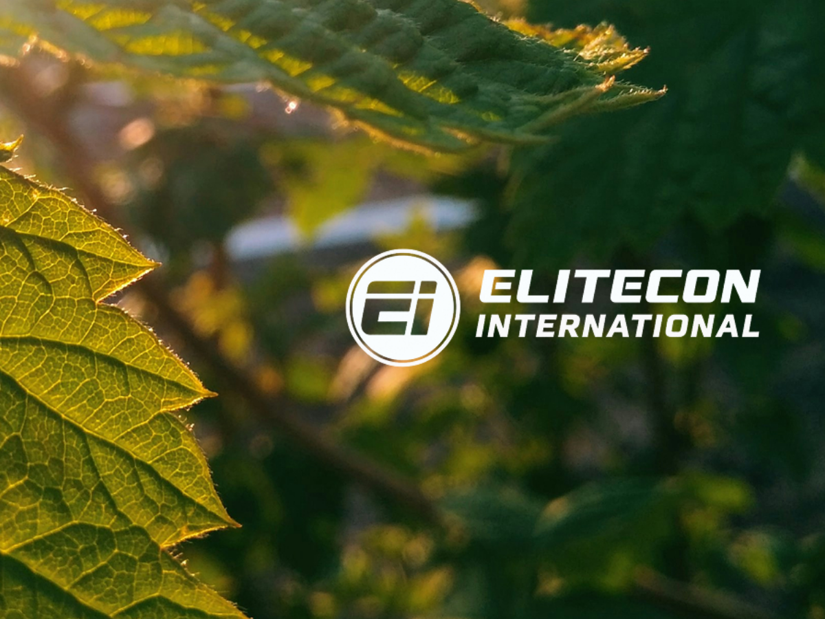 Elitecon International ने दो एग्रो कंपनियों में खरीदी बड़ी हिस्सेदारी, FMCG कारोबार बढ़ाने पर फोकस