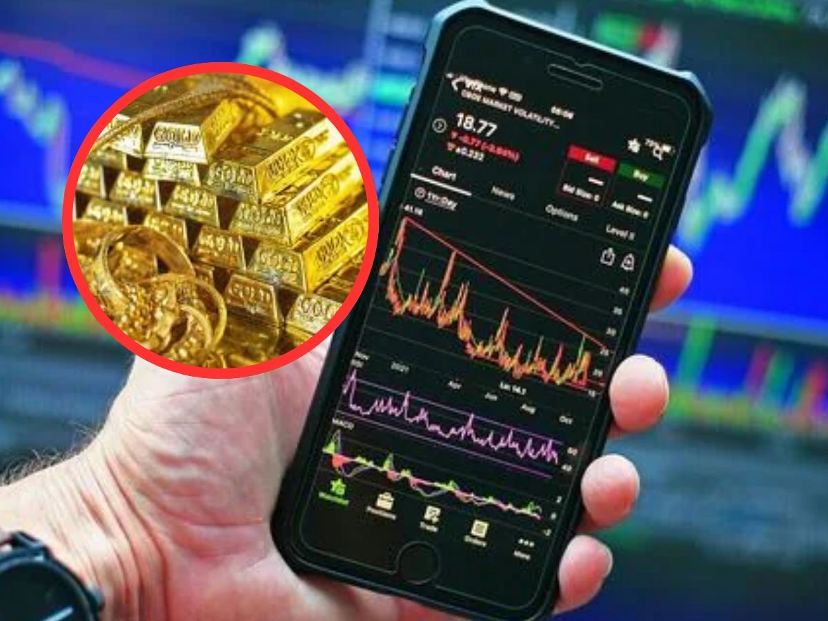 Q2 में बंपर मुनाफे के बाद 52 वीक हाई पर स्टॉक, अब खरीदें, बेचें या होल्ड करें? जानें ब्रोकरेज की राय