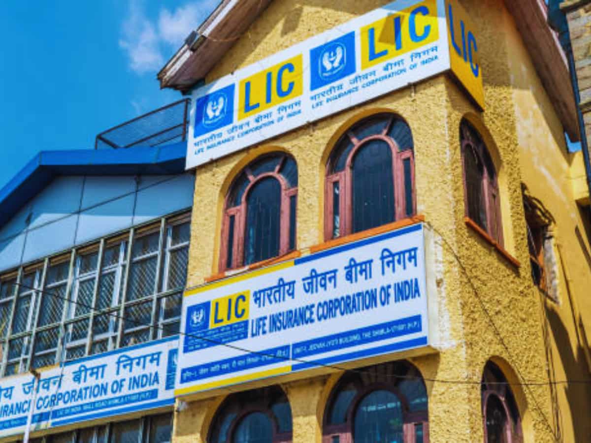LIC के आगे FD-RD भी है फेल! अगर पहली बार पॉलिसी ले रहे हैं? तो दिमाग में बैठा लें मुनाफे वाली ये 5 बातें