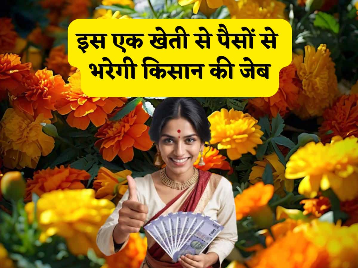 खाली जेब भी किसान की मुनाफे से भरेगा ये फूल, कम लागत में भी बन जाएंगे लखपति, सब्सिडी से लेकर खेती का पूरा प्रोसेस समझें