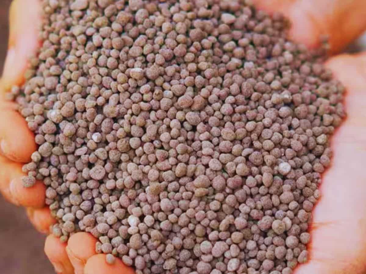 सरकार की किसानों से अपील! इस उर्वरक का इस्तेमाल करें किसान, फसल होगी ज्यादा मजबूत और उपज बेहतर