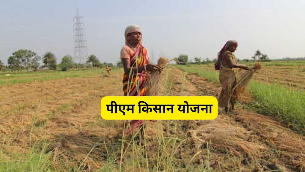 PM Kisan: 19 नवंबर को आएंगे ₹2,000, लेकिन सभी किसानों को नहीं मिलेगा फायदा, जानें किसकी किस्त रुकेगी और क्यों