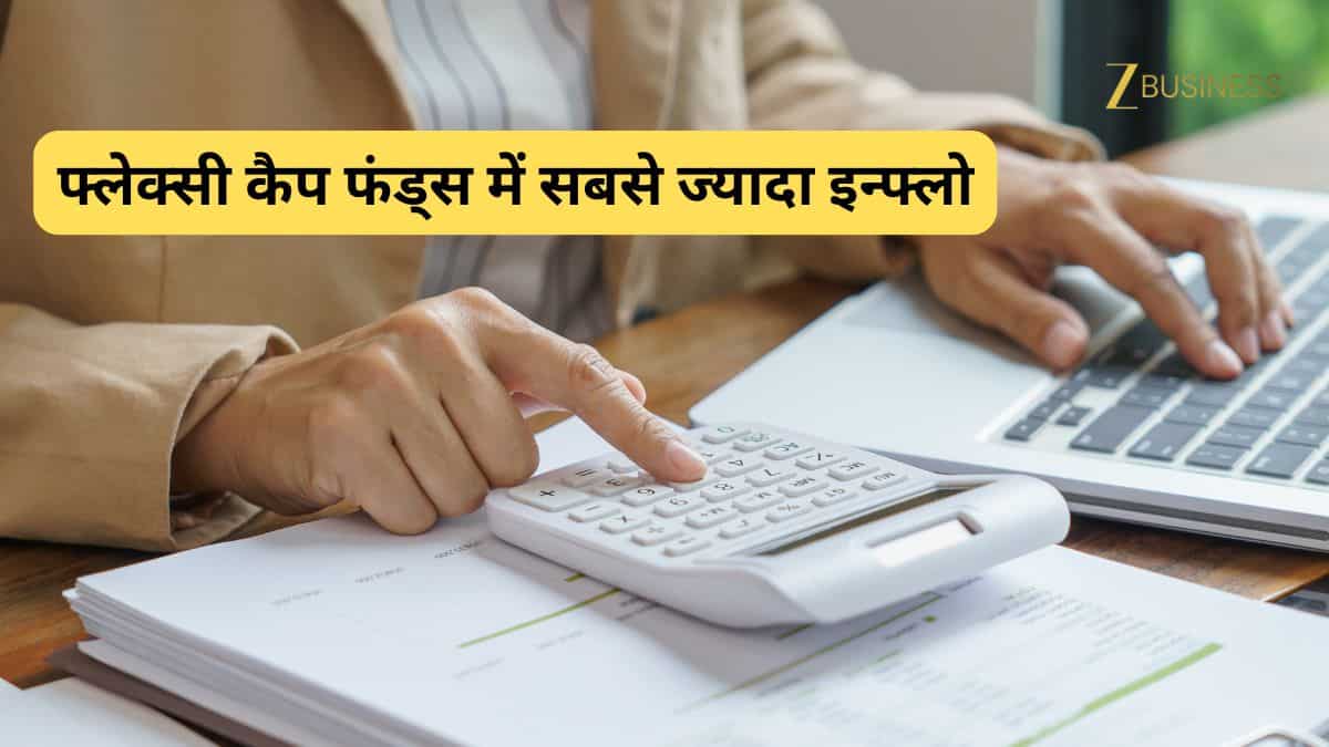 Flexi Cap Funds का बढ़ रहा क्रेज, पोर्टफोलियो में मिड और फ्लेक्सीकैप्स पर निवेशकों का जोर