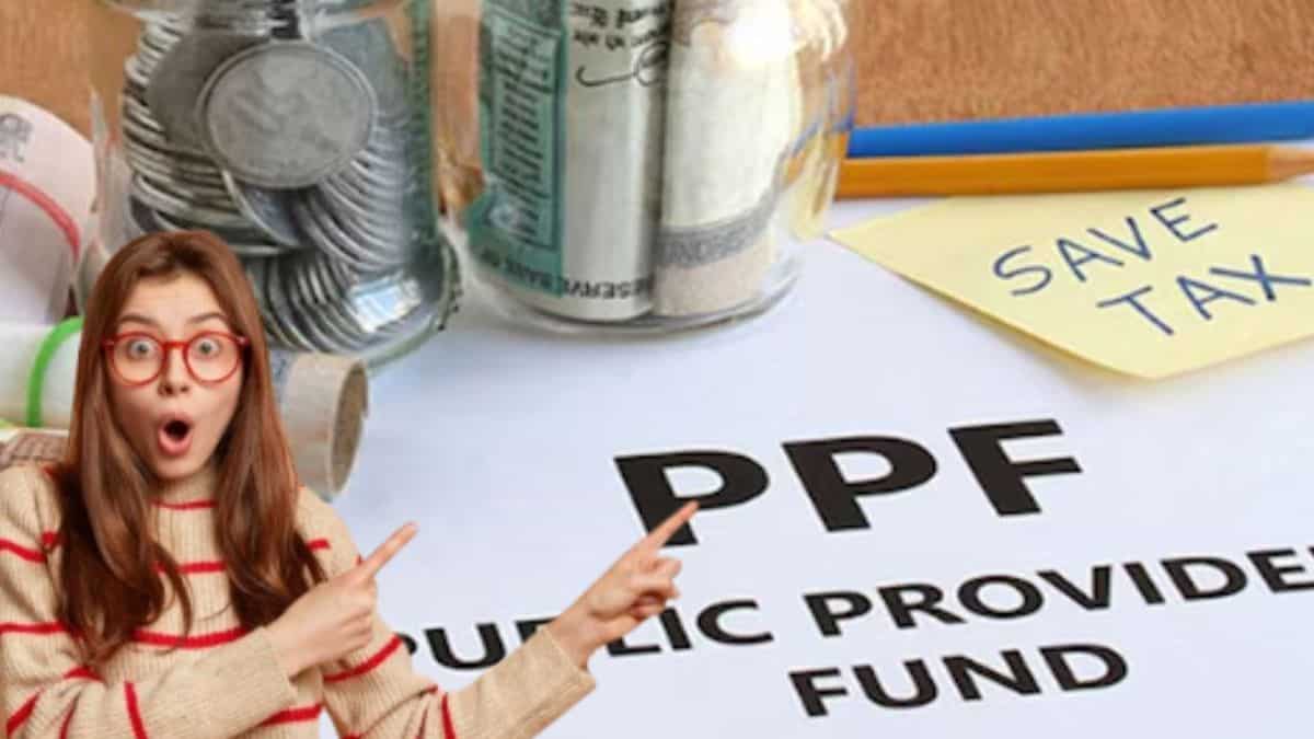 बंद पड़े PPF अकाउंट को करना है फिर से चालू तो कैसे होगा ये काम? समझ लीजिए प्रोसेस