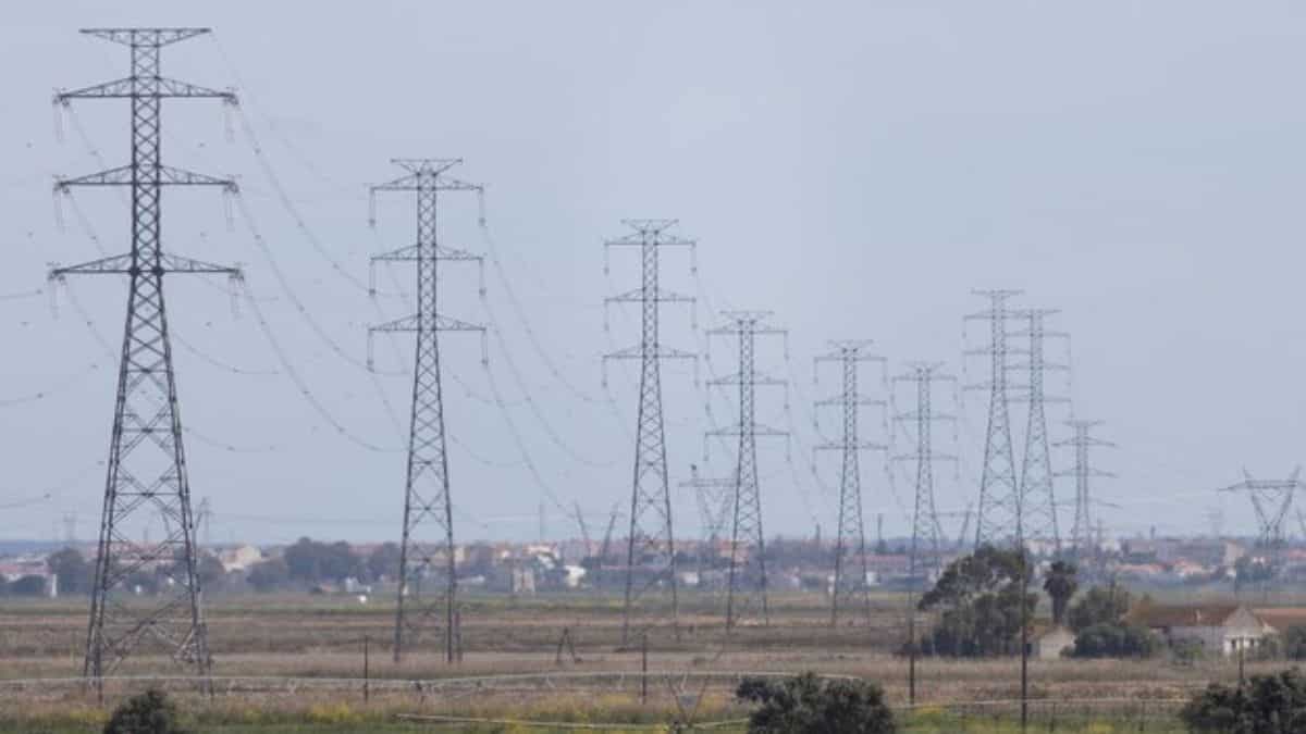 किसानों को बड़ी राहत! खेतों में बिजली टॉवर लगाने पर मिलेगा 200% मुआवजा, सरकार ने जारी किए नए नियम