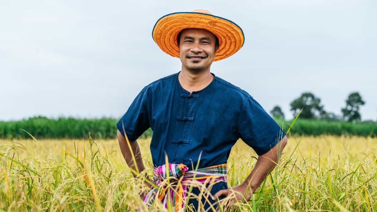 खुशखबरी! यहां आज से MSP पर शुरू होगी 4 फसलों की खरीद, 3.12 लाख किसानों ने कराया रजिस्ट्रेशन
