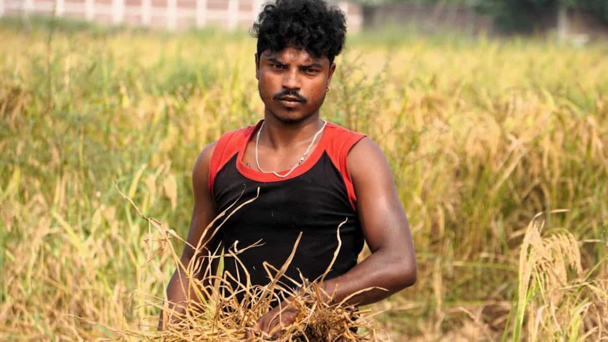 किसानों को बड़ी राहत! सिंचाई के लिए बिजली बिल पर सरकार देगी 90% सब्सिडी, धान पर मिलेगा बोनस