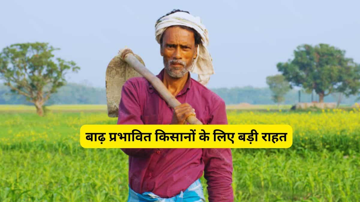 बारिश और बाढ़ से फसल को नुकसान? बिहार सरकार देगी ₹22,500 प्रति हेक्टेयर तक मुआवजा, 2 दिसंबर अंतिम तारीख