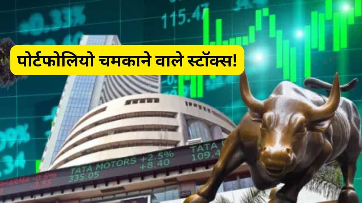 50% तक रिटर्न की करें तैयारी! नोट करें पोर्टफोलियो चमकाने वाले स्टॉक्स की लिस्ट