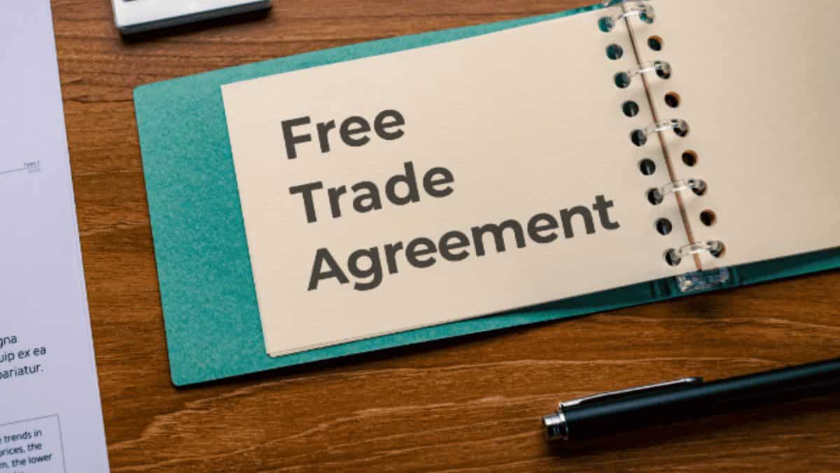 भारत-यूरोपियन यूनियन के बीच जल्द होगा फ्री ट्रेड अग्रीमेंट, जोर-शोर से हो रही बातचीत