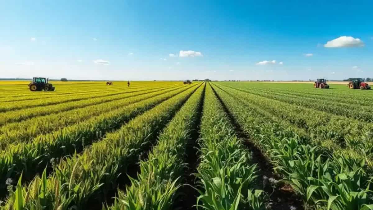 खेती के नए तरीके अपनाने के लिए 7 किसानों को पुरस्कार, PM मोदी ने भी की तारीफ